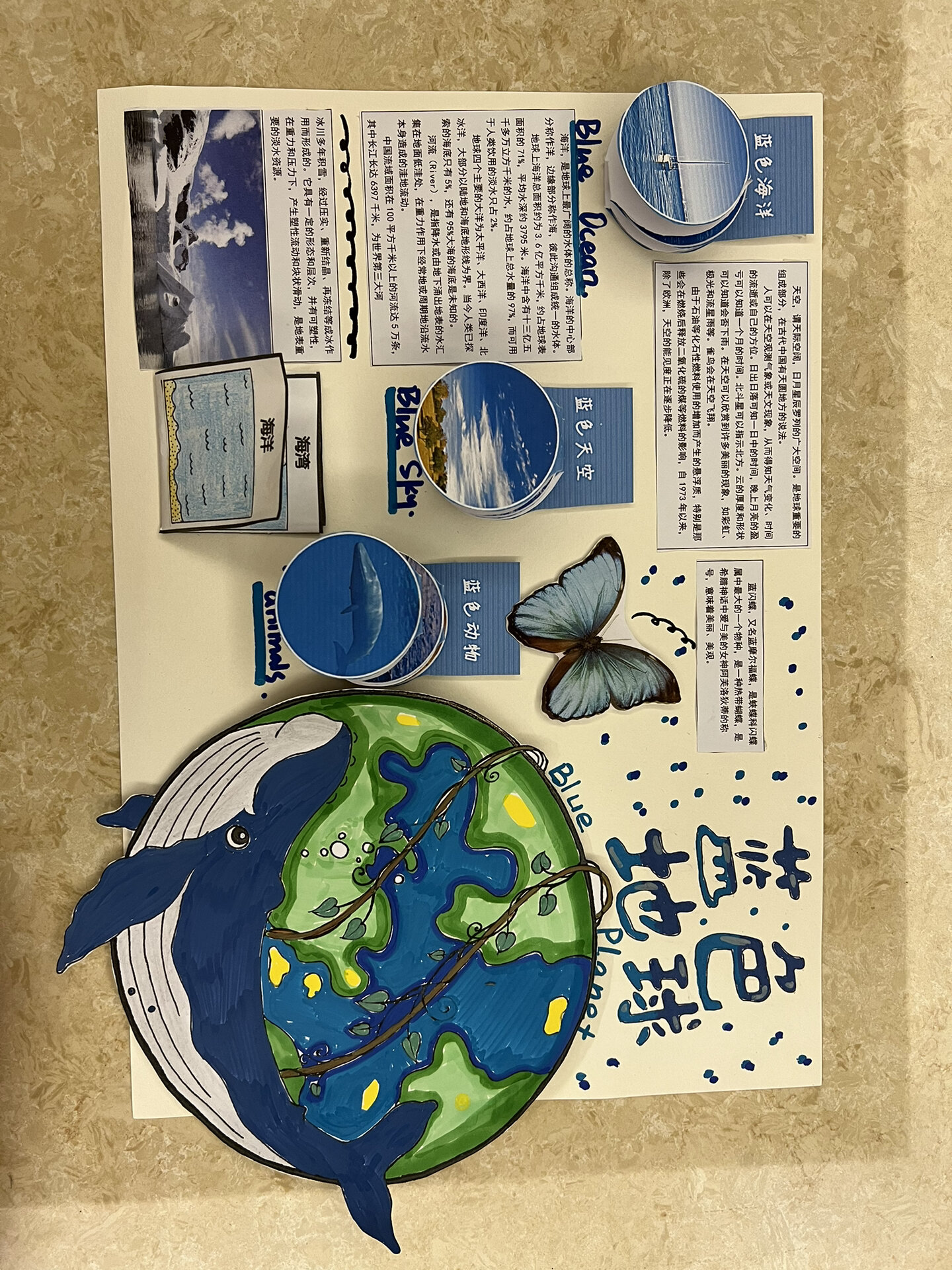 「小学生作业」三年级科学作业/地球手抄报