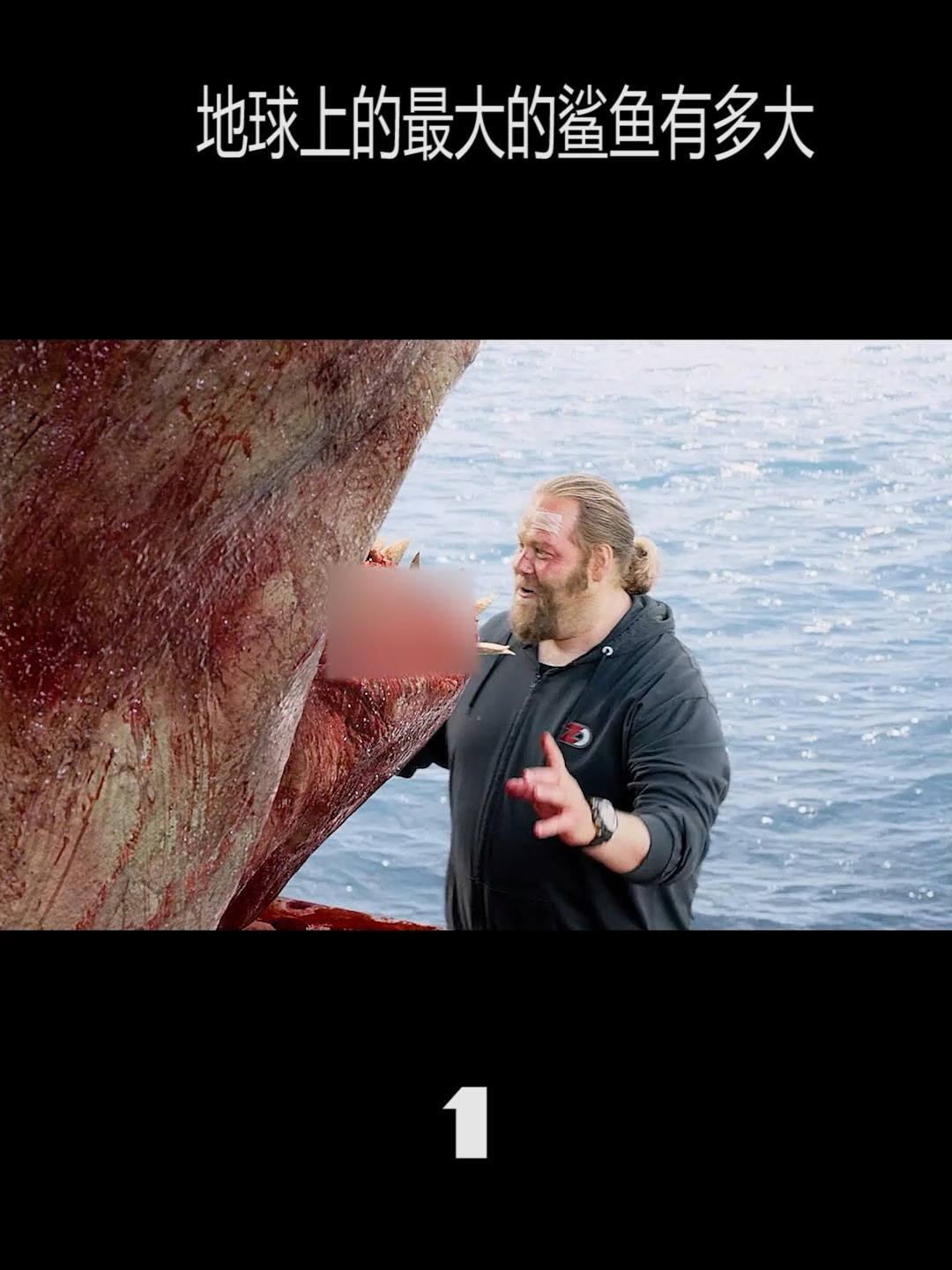 世界上最大的鲨鱼到底有多大?记得点赞评论