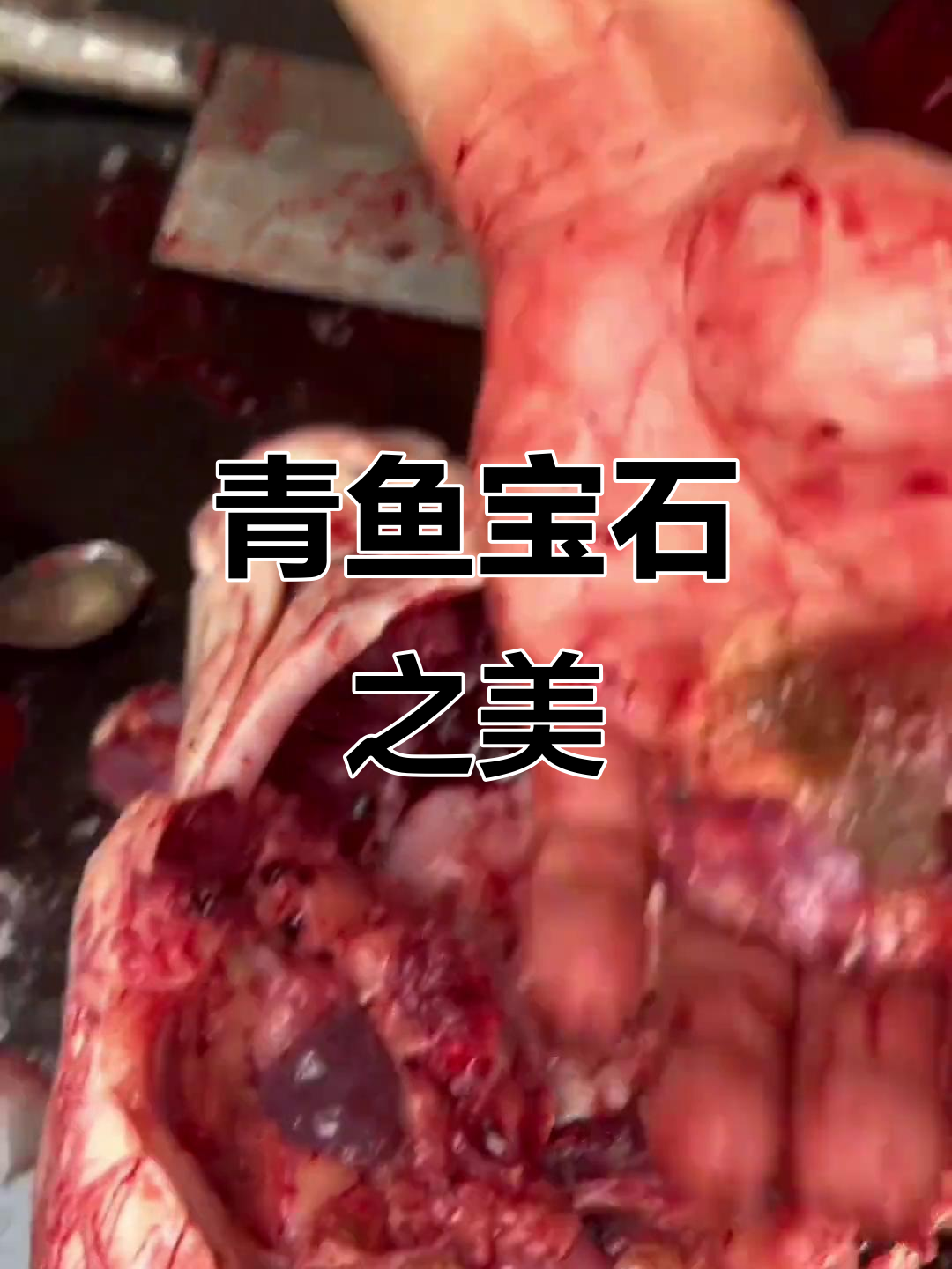 你见过青鱼头里的宝石吗？打磨后美得令人陶醉！
