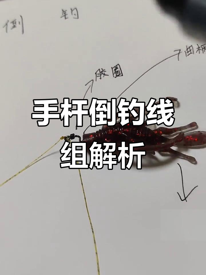 倒钓线组搭配技巧,轻松掌握淡水鲈鱼钓鱼法