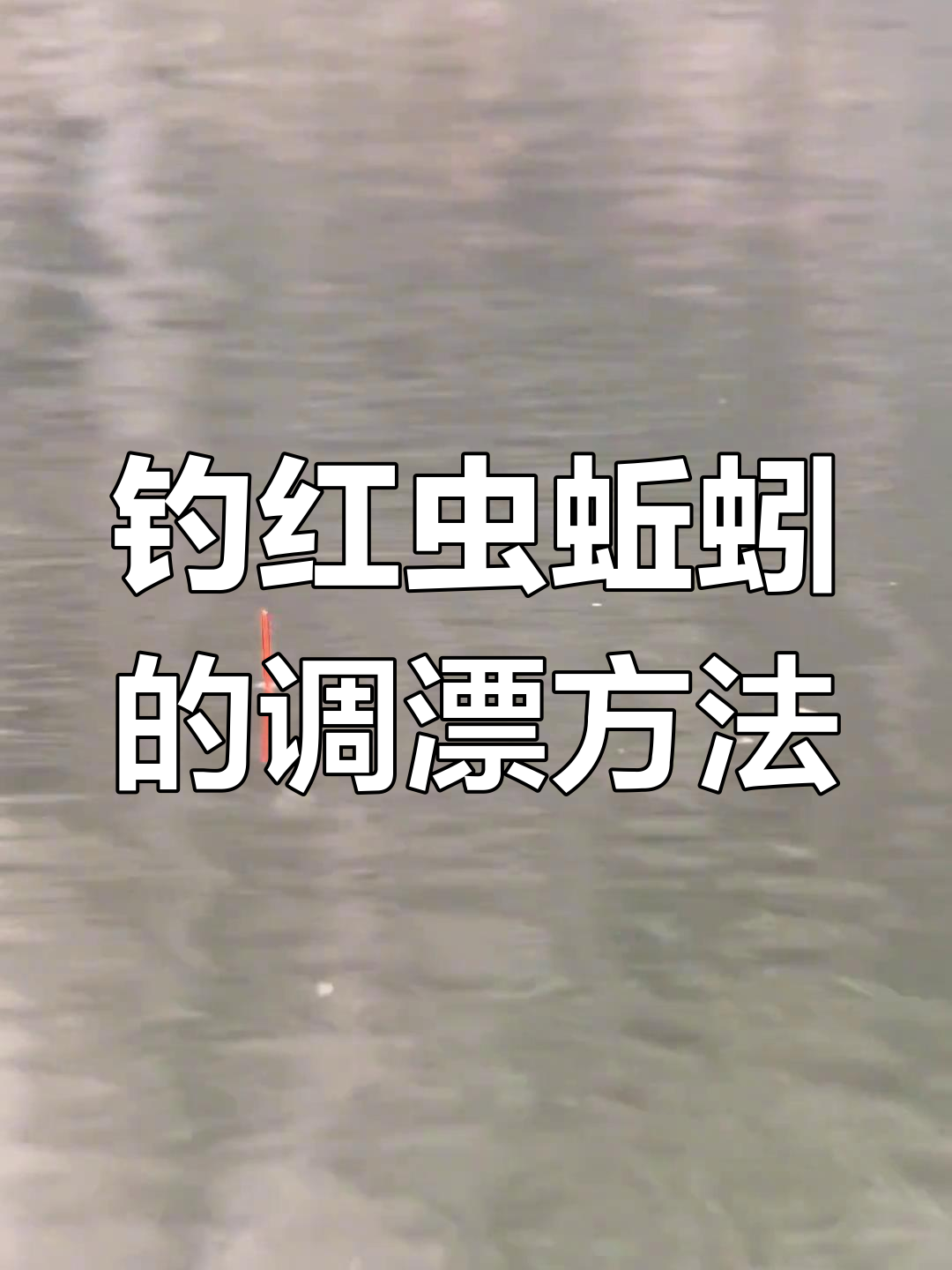 红虫蚯蚓钓鱼调漂技巧