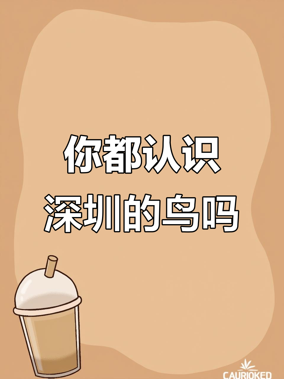 深圳这些鸟，你见过吗？黑脸皮鹿、白鹭和鱼鹰都在这里