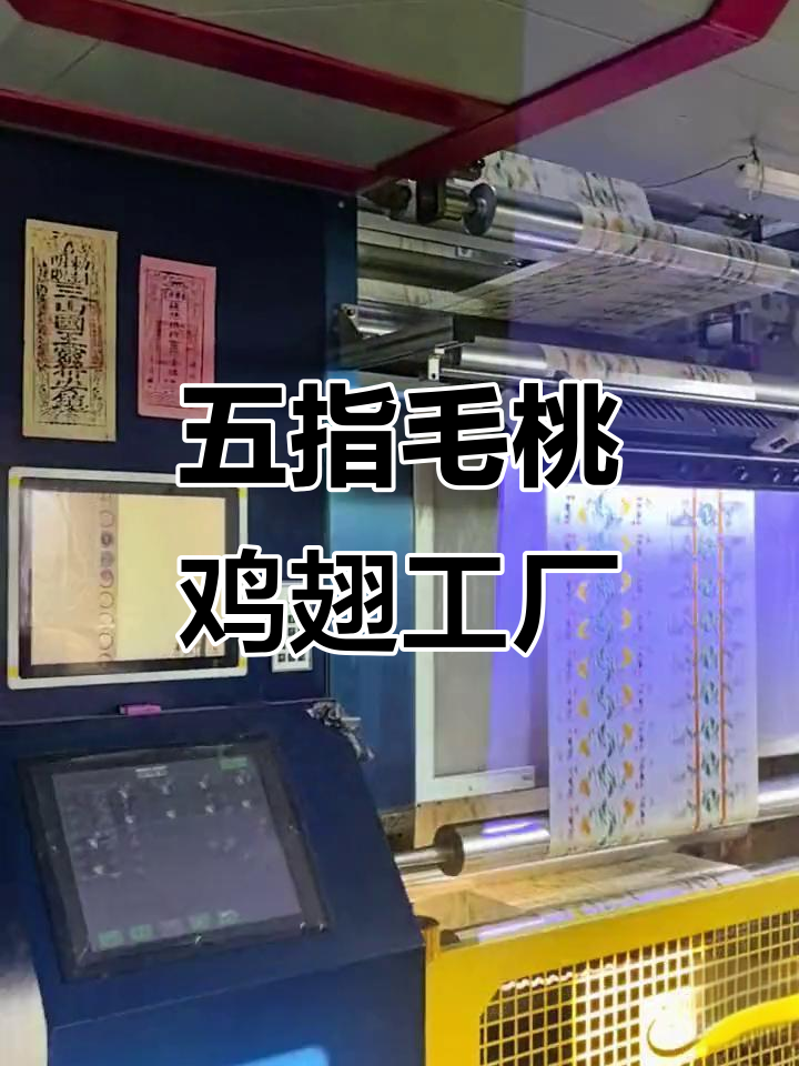 五指毛桃鸡翅工厂实拍，全国发货合作共赢