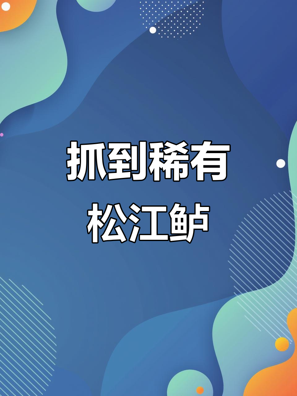 罕见松江鲈鱼现身,英国女王都找不到!