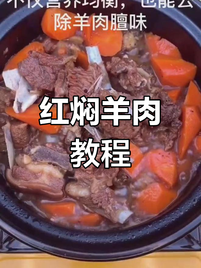 秋冬必备红焖羊肉,轻松学会家常做法