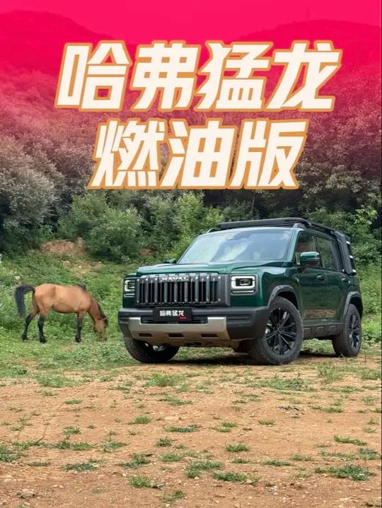 保定龙六爷!哈弗猛龙燃油版