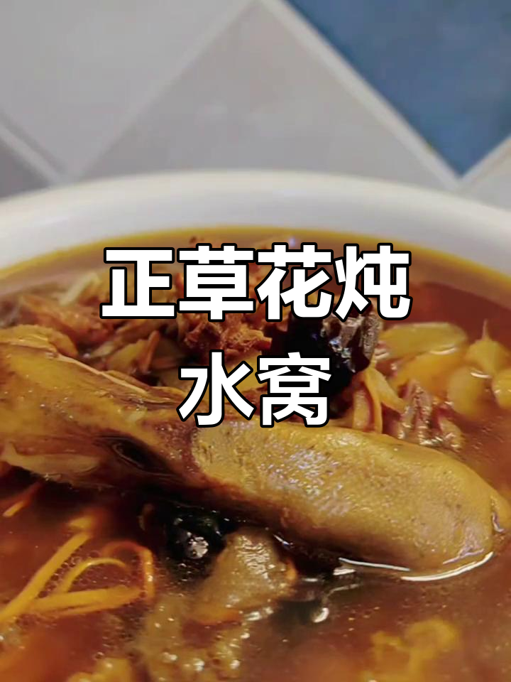 营养丰富的正草花炖水窝,老少皆宜