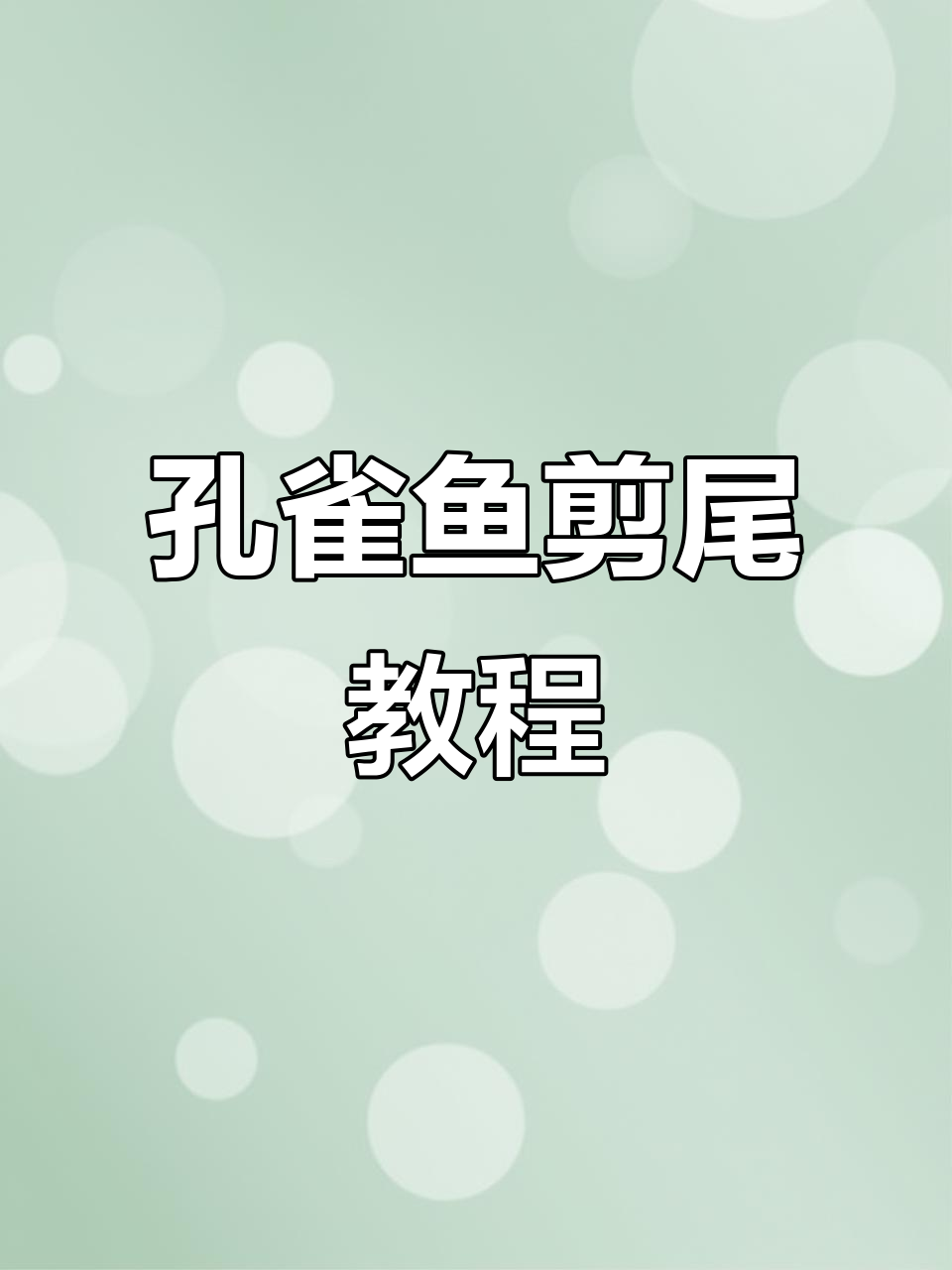 孔雀鱼剪尾技巧大揭秘,快速上手操作步骤全解析