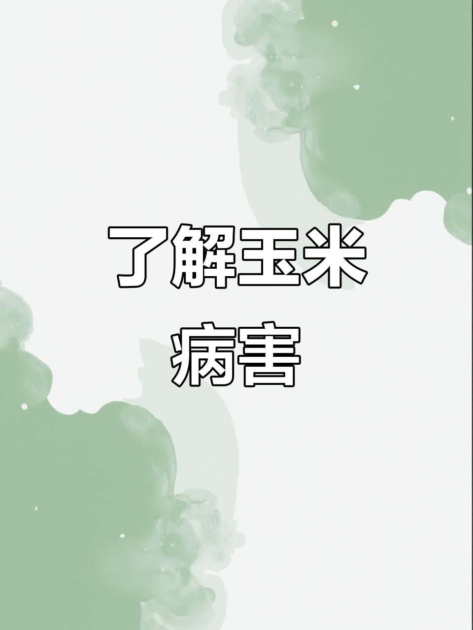 玉米常见病害大揭秘,如何防治这些病症