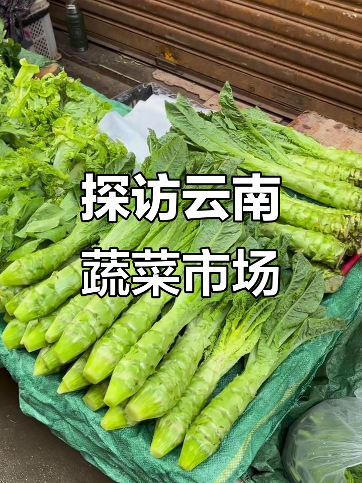 云南菜市场大揭秘:蔬果与米线的完美碰撞