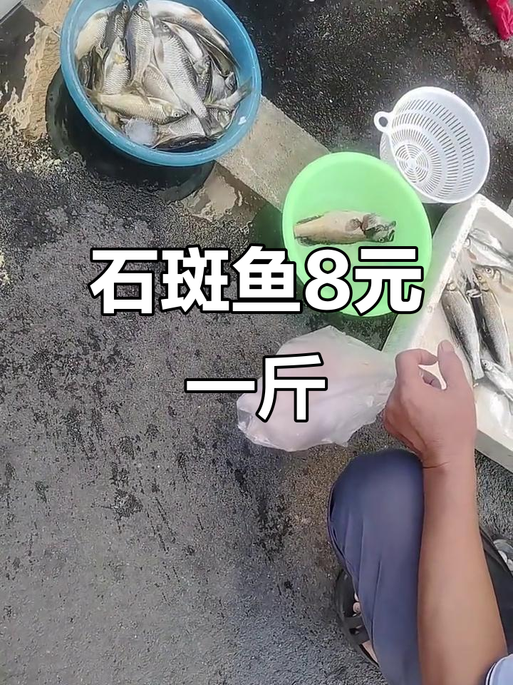 青尾与石斑价格大揭秘,东北特产不容错过