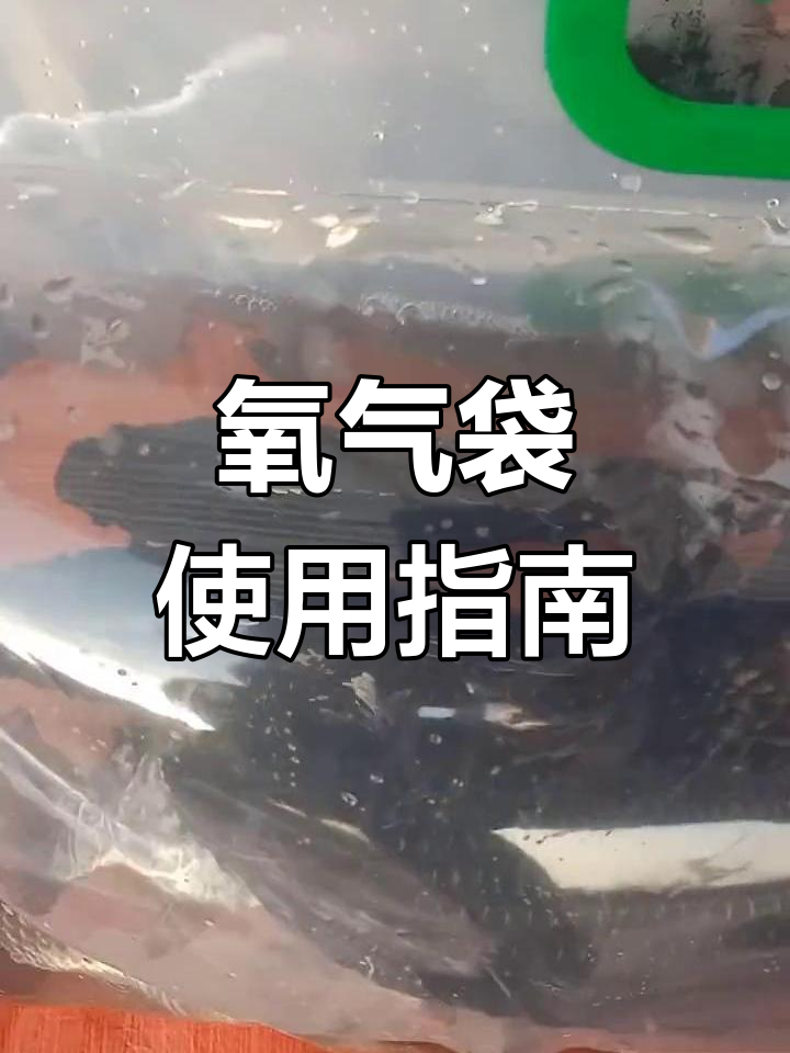 活鱼袋充氧时间解析