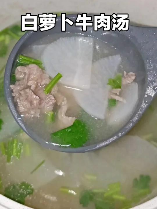 打卡100种家常汤14/白萝卜牛肉汤
