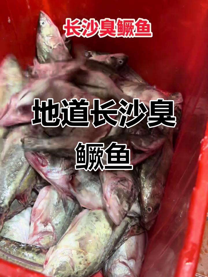 长沙臭鳜鱼,真材实料带来地道湘味