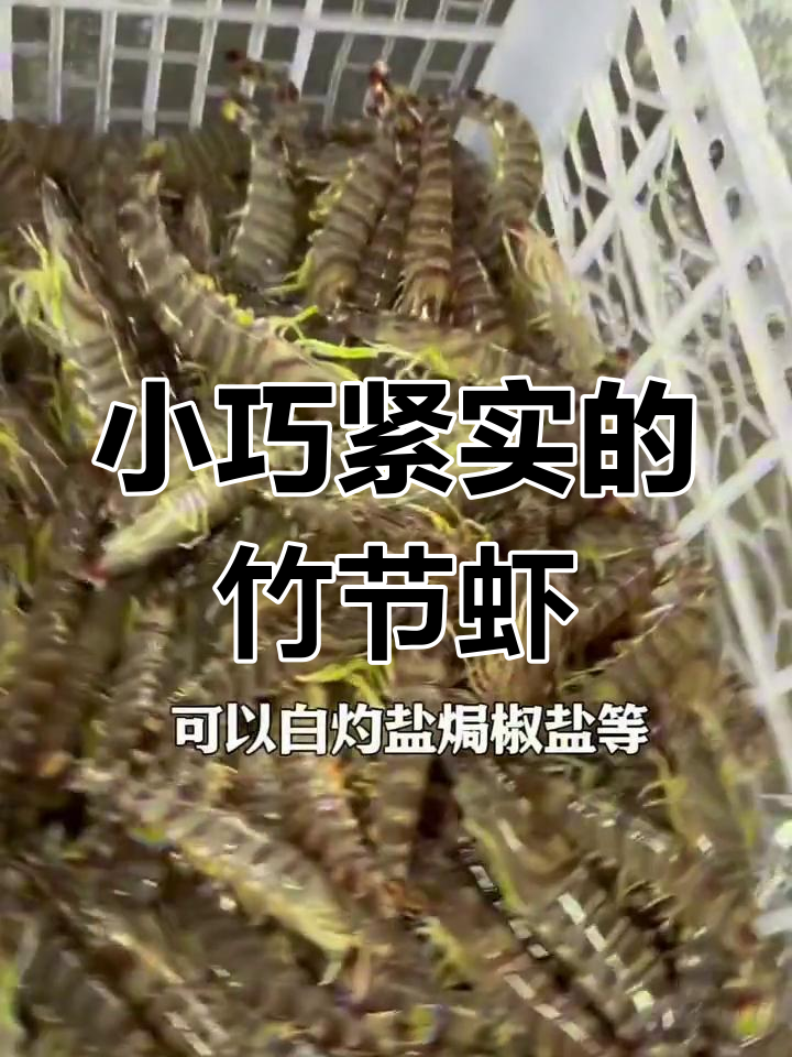 竹节虾与基围虾的区别,口感鲜甜适合老人小孩