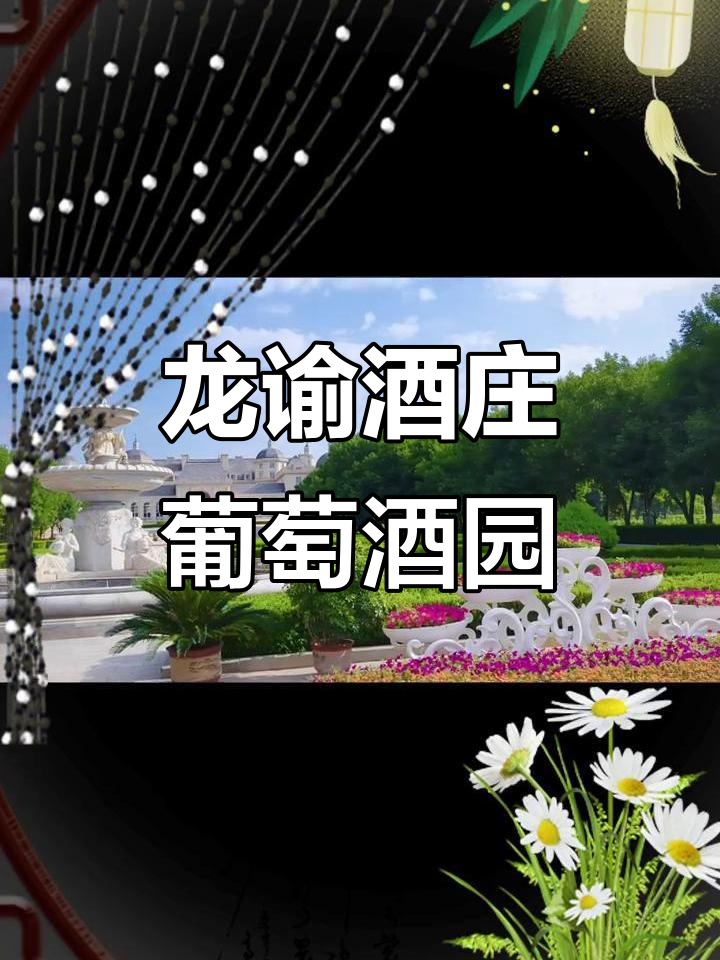 探访宁夏贺兰山东麓龙谕酒庄,感受酿酒葡萄园的魅力