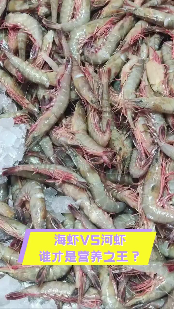 海虾VS河虾,谁才是营养之王?