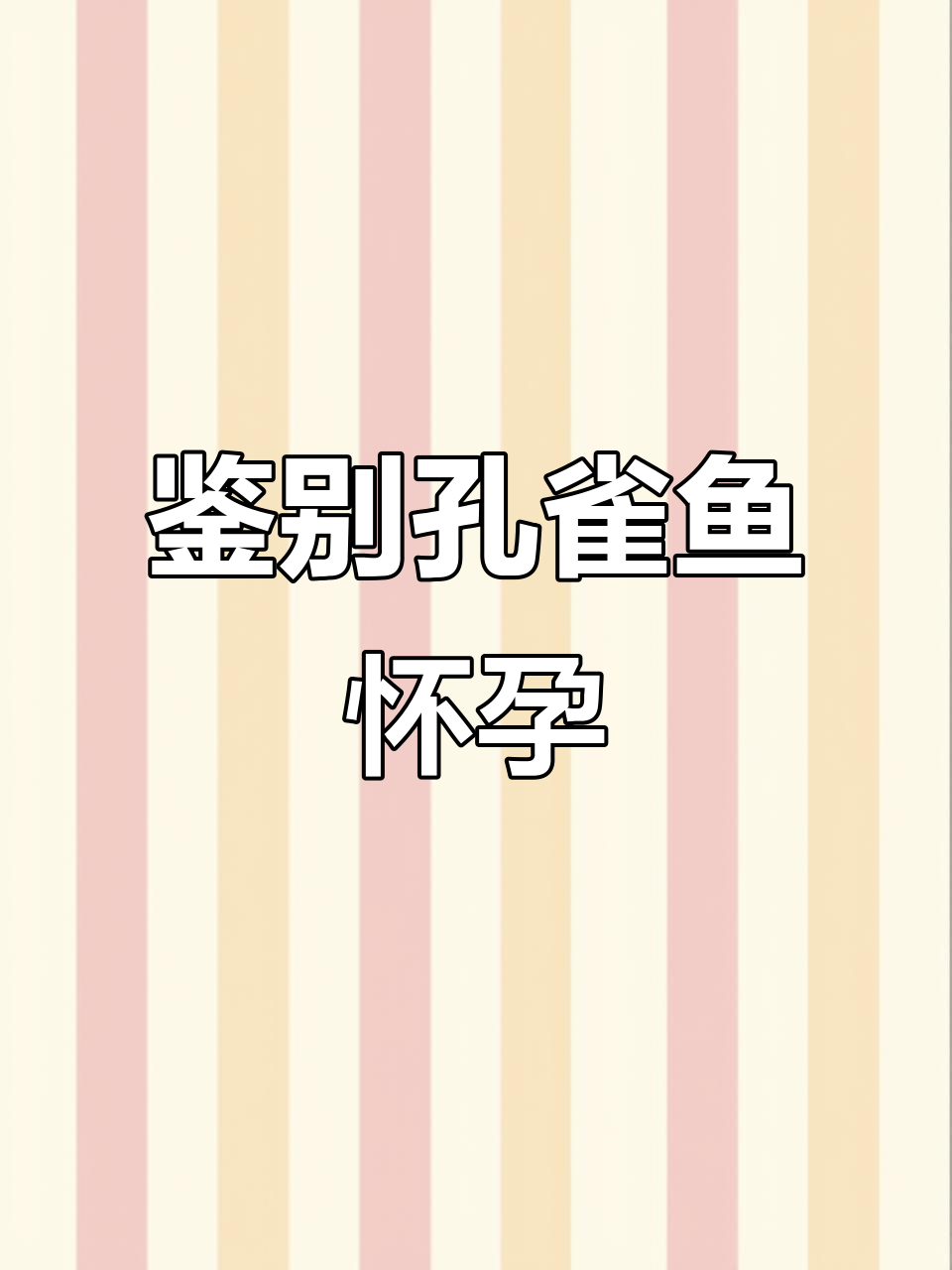 如何判断孔雀鱼是否怀孕?这些迹象你得知道