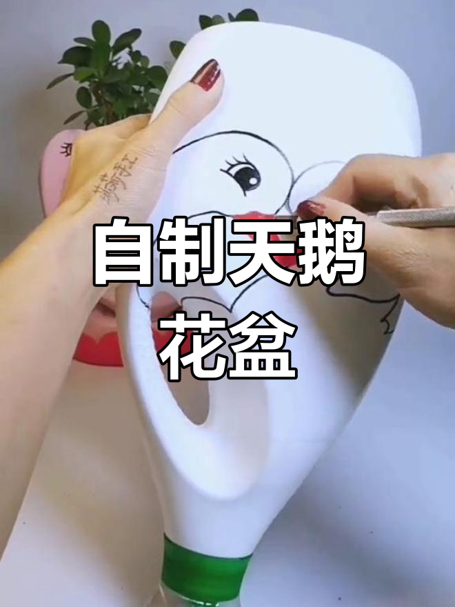 用洗衣液瓶做天鹅花盆,创意手工教程