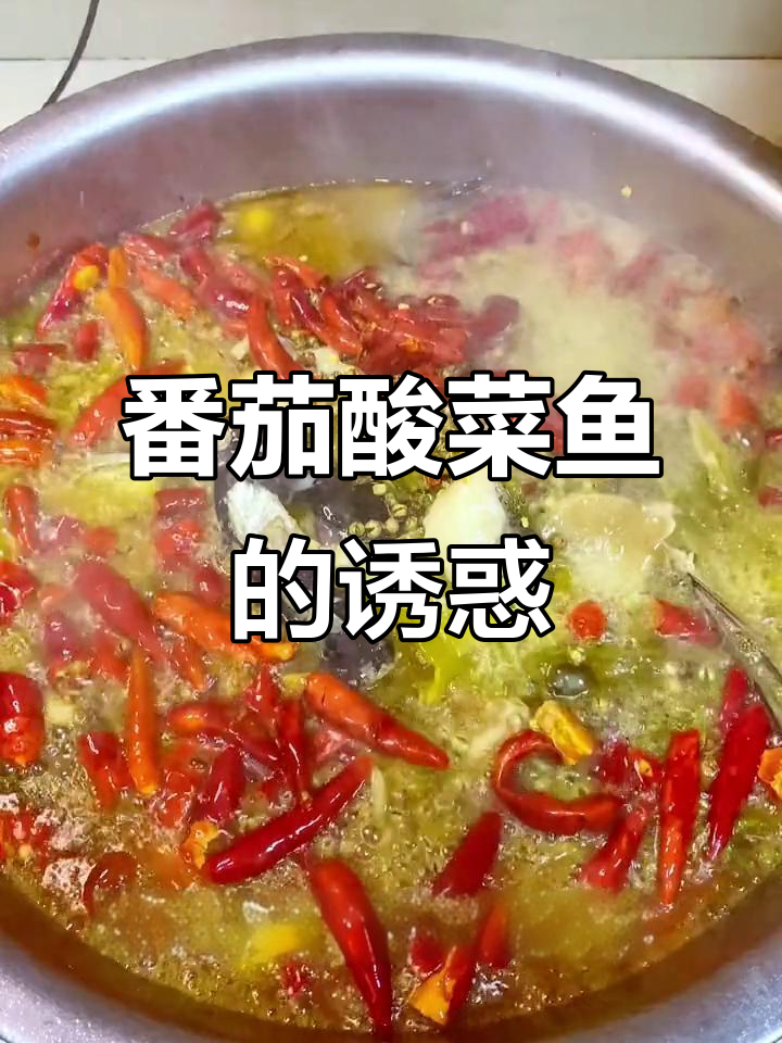 番茄酸菜鱼,美味无敌!赶紧试试吧!