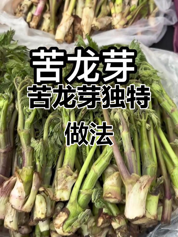 苦龙芽的神奇吃法,焯水后蘸酱是苦的,兑小米粥却变甜了