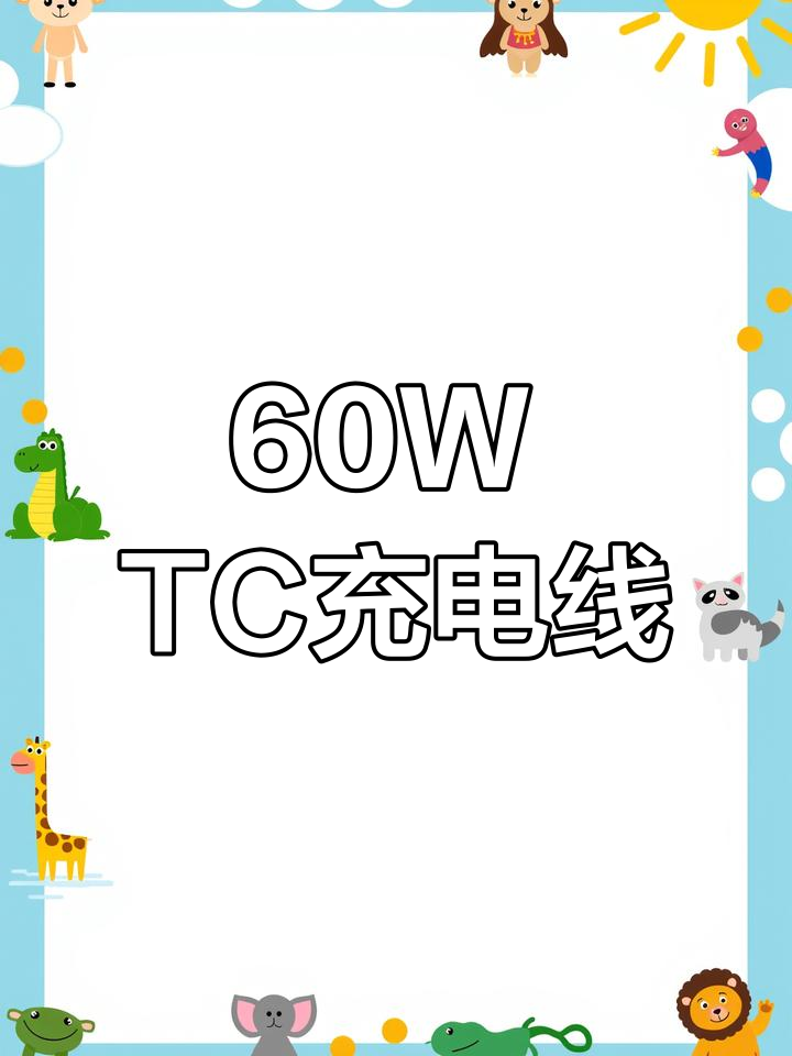 高功率双TC口充电线解析