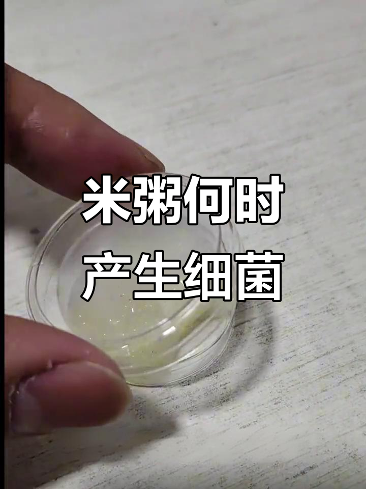 米粥在室温下多久开始滋生细菌?实验告诉你答案