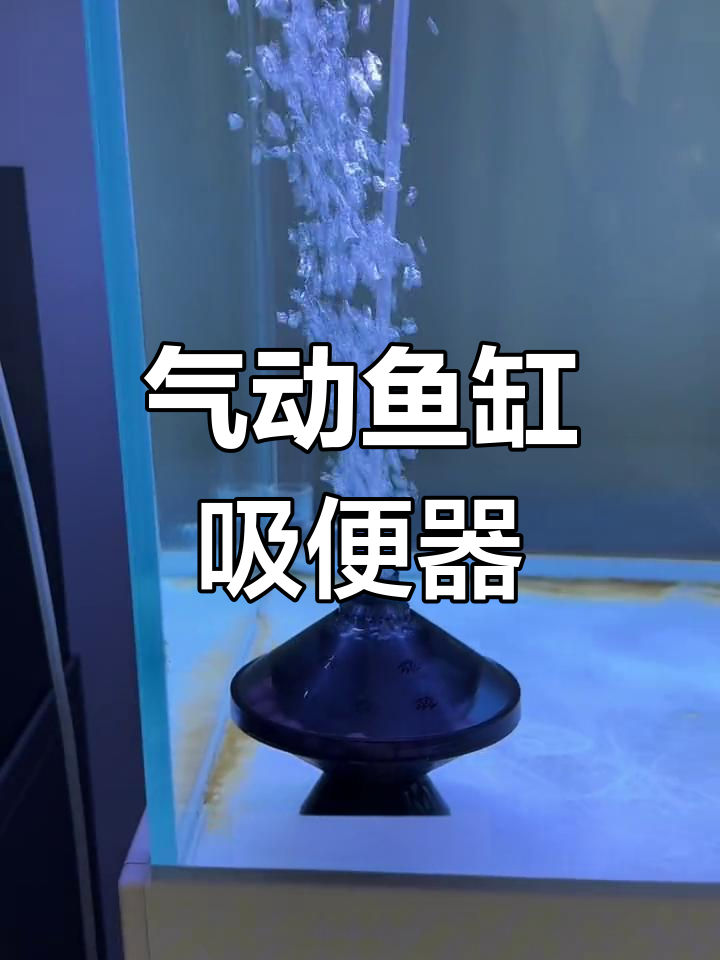 鱼缸角落清洁神器,气动吸便器提升过滤效果