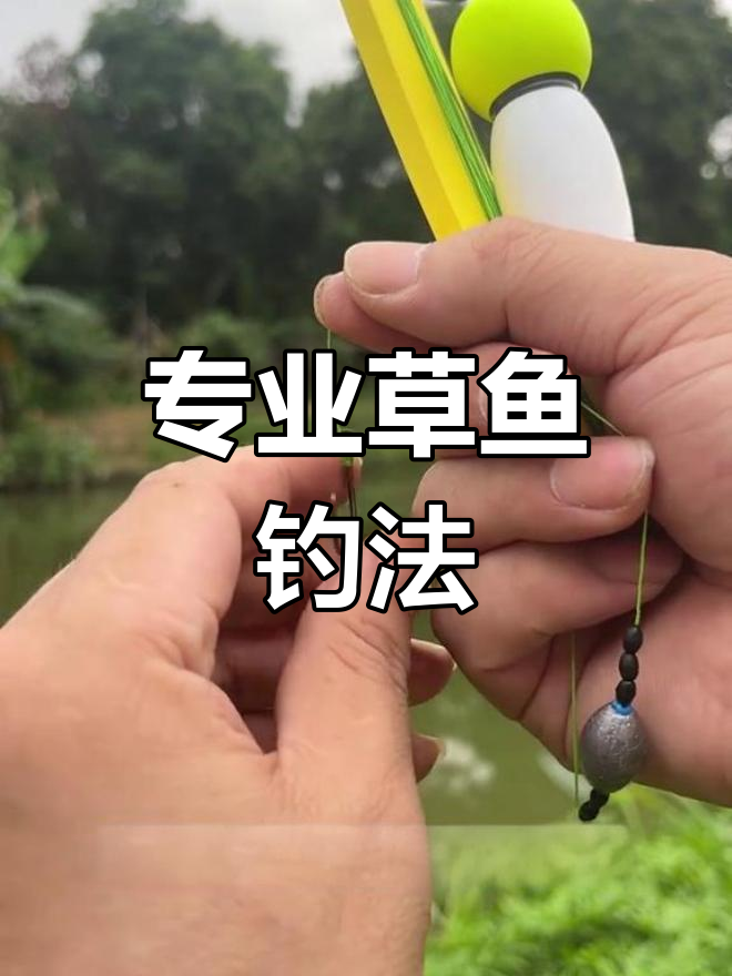 草鱼钓组搭配,大钩铅坠助力,效果惊人!