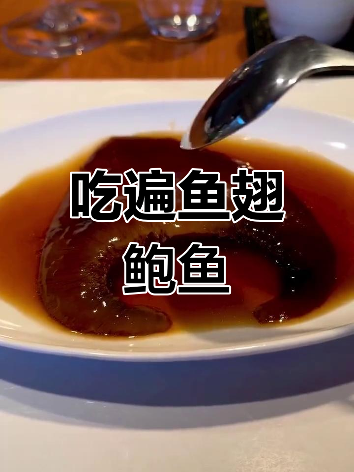 鱼翅鲍鱼的中华美味体验