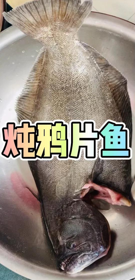 炖鸦片鱼