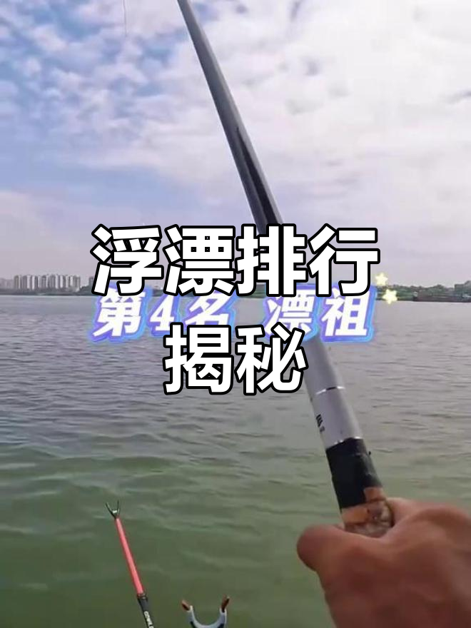 十大浮漂排名,钓友必看!