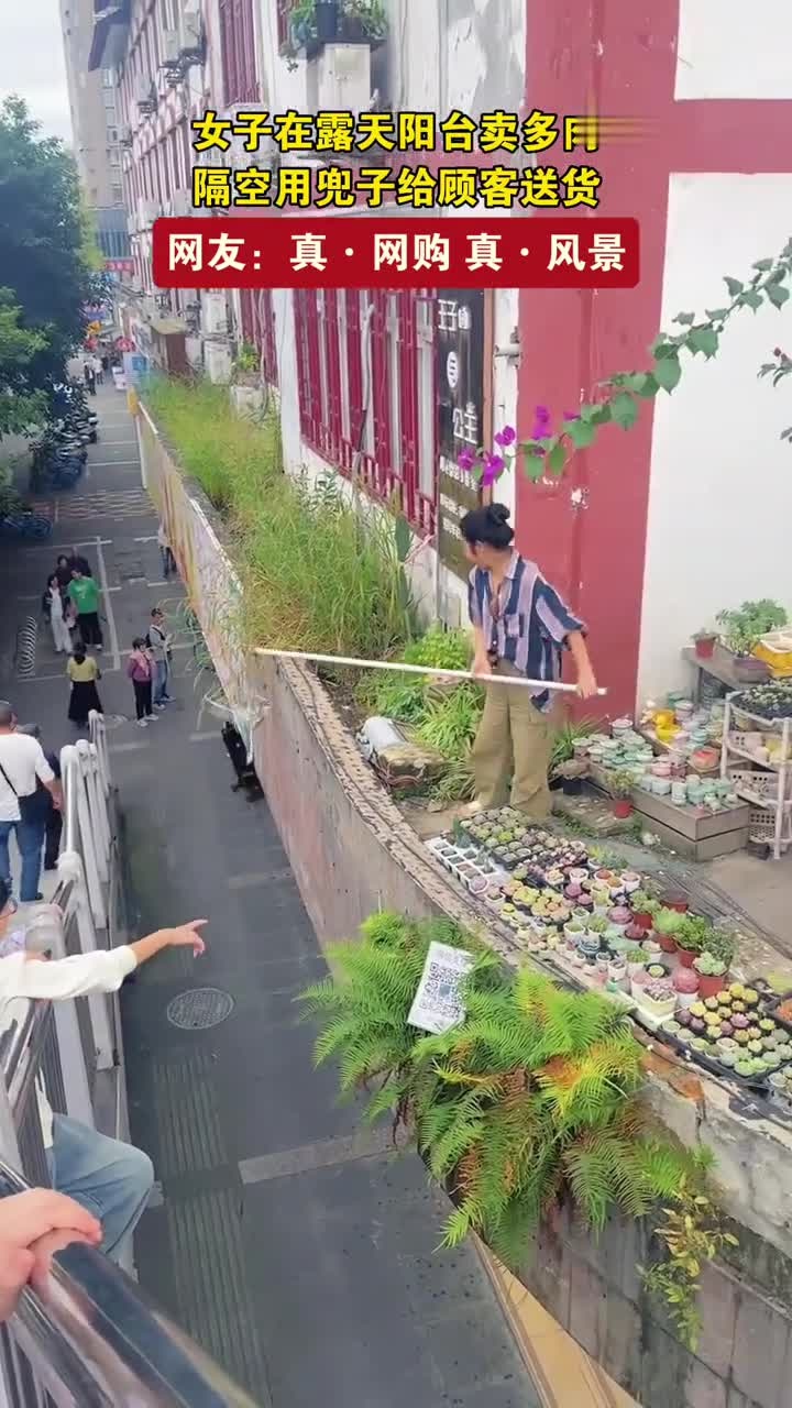 女子在露天阳台卖多肉，隔空用兜子给顾客送货，网友：真网购