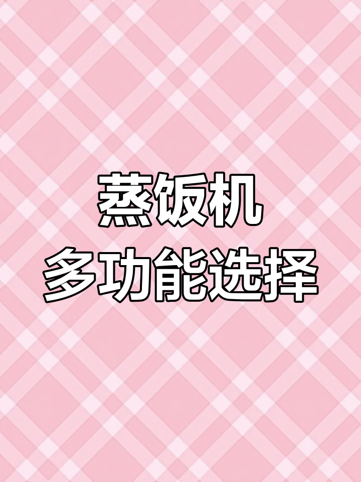 大容量蒸饭柜,燃气立式设计,适合食堂或家庭使用