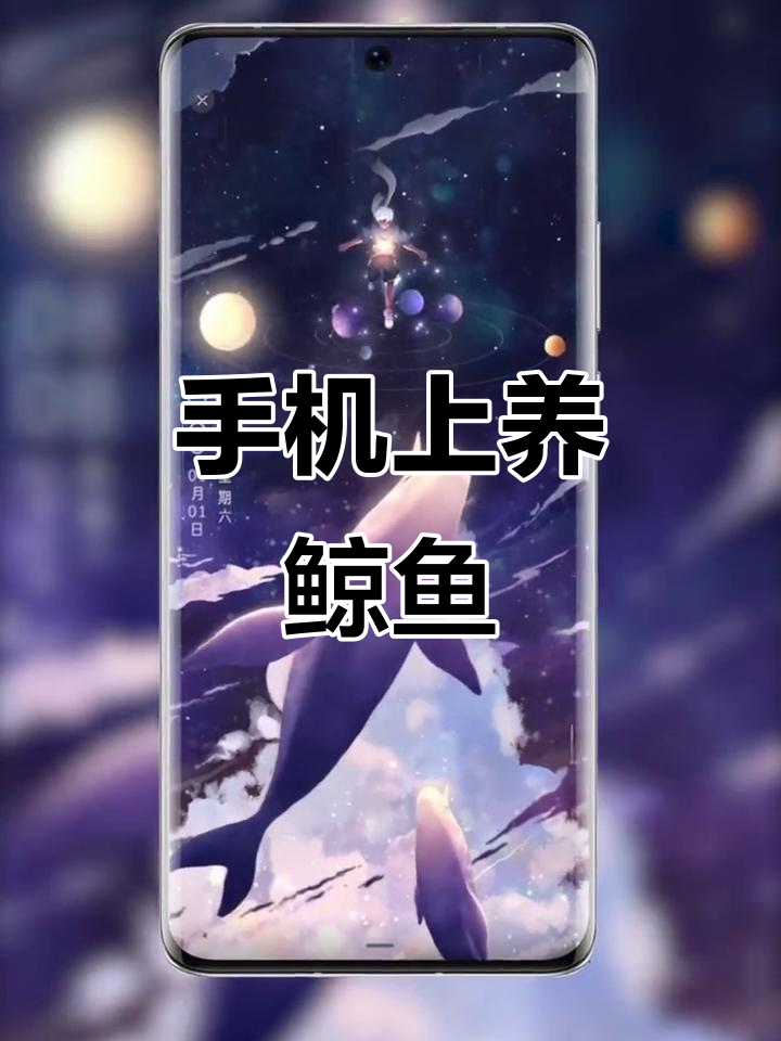 手机也能养鲸鱼？星空壁纸带你进入海洋世界