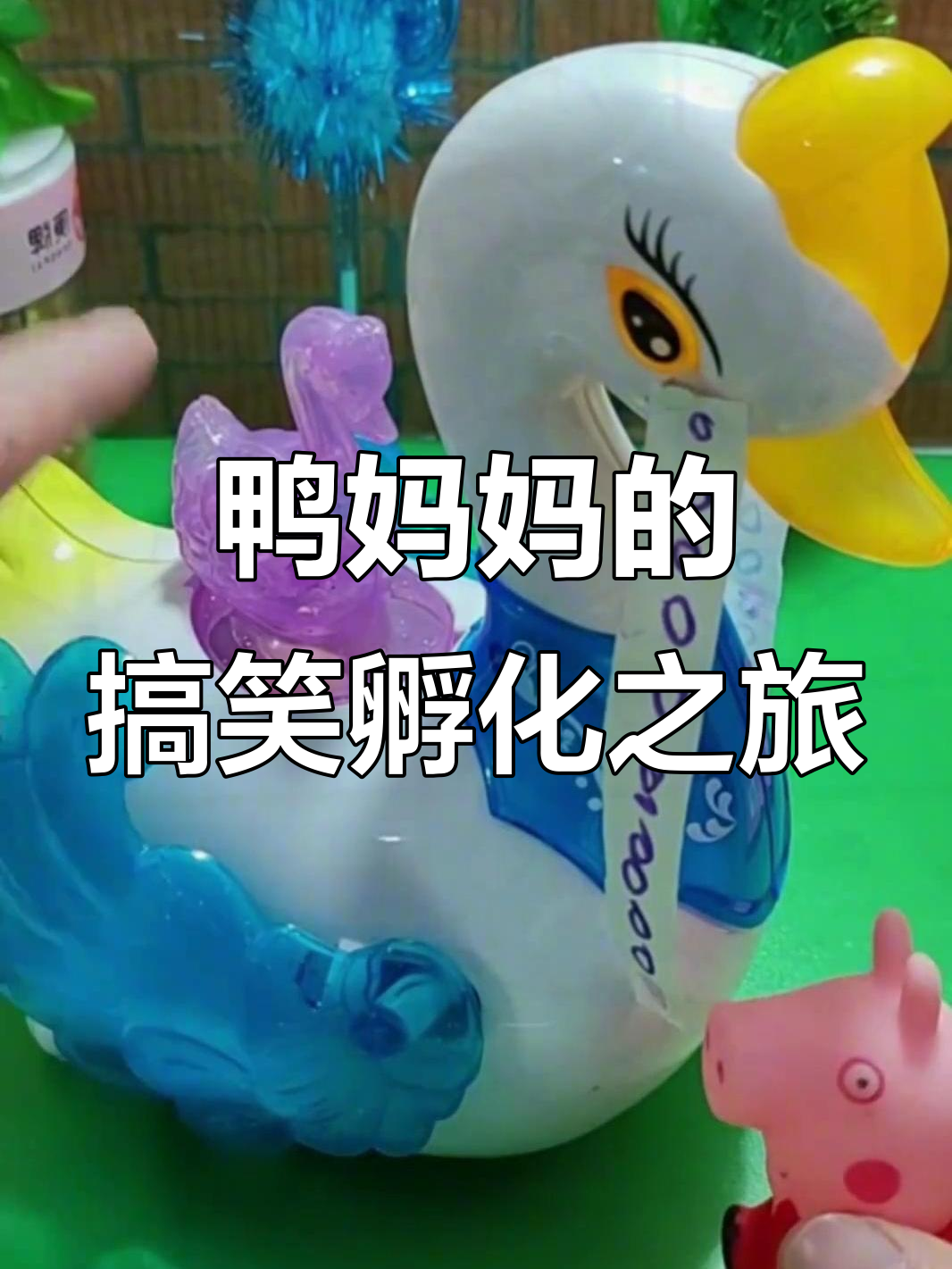 鸭妈妈误认蛇鳄宝宝，孵蛋过程笑料百出