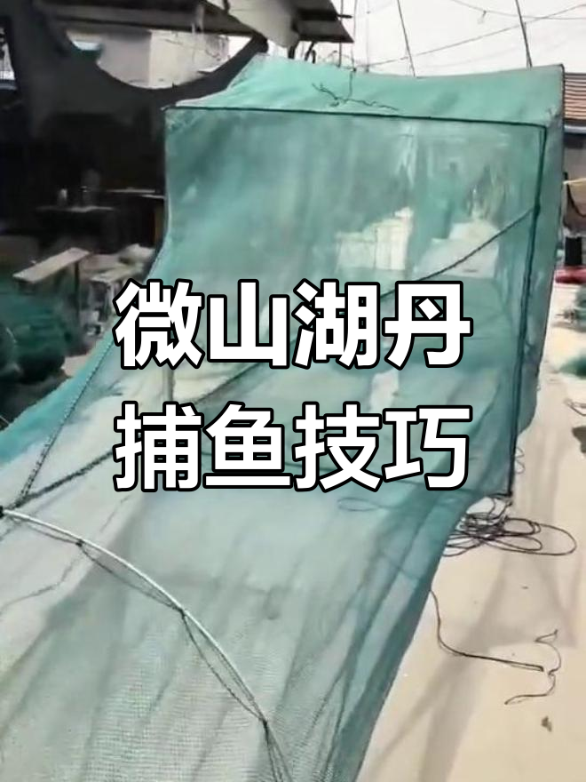 微山湖渔网迷魂阵:隐藏与捕捉的完美结合