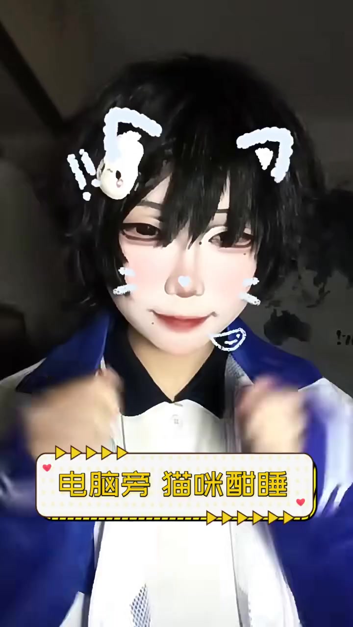 电脑旁,猫咪酣睡