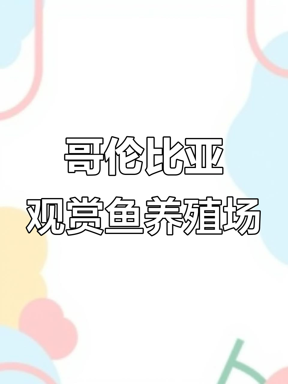 探访哥伦比亚最大观赏鱼养殖场,揭秘七彩神仙鱼的繁殖奥秘