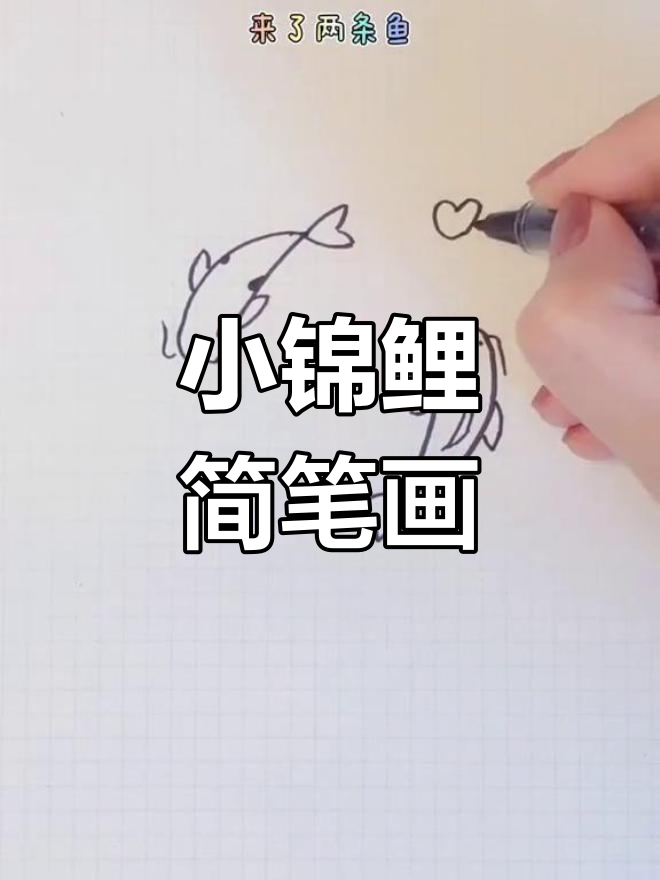 两条小锦鲤的简笔画教程