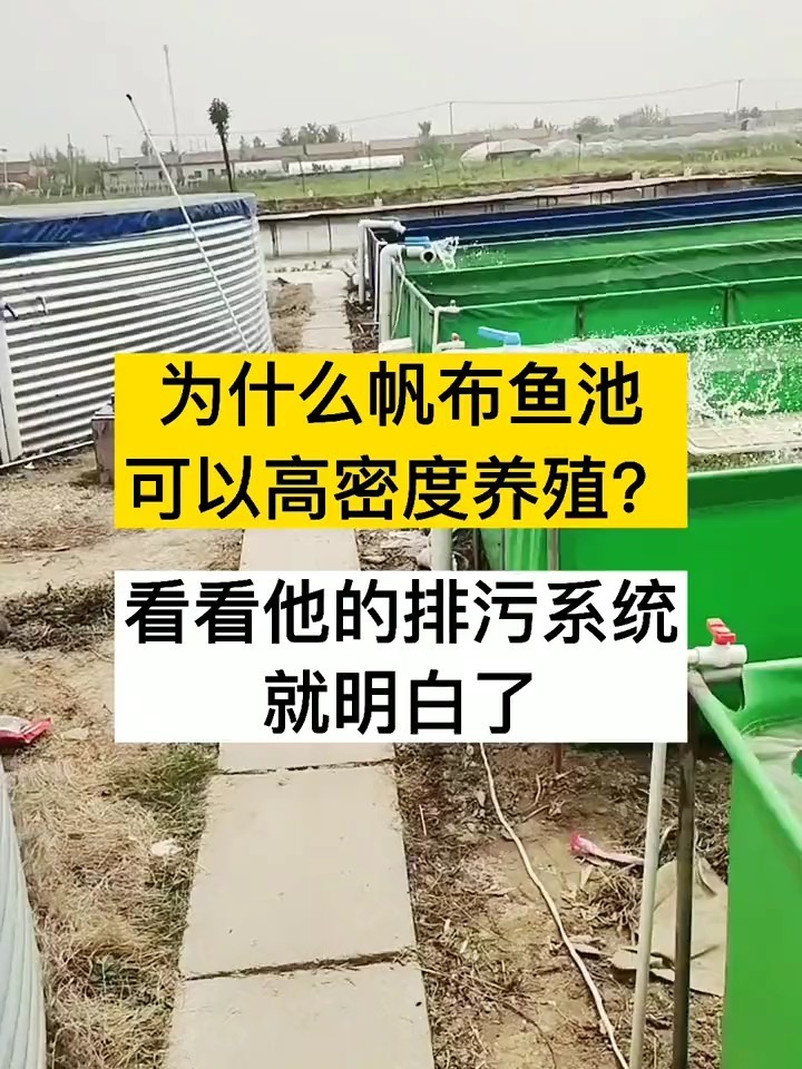 很多人不相信帆布鱼池能高密度养殖