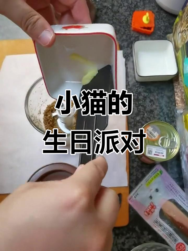猫咪一岁生日快乐,亲手做蛋糕庆祝!