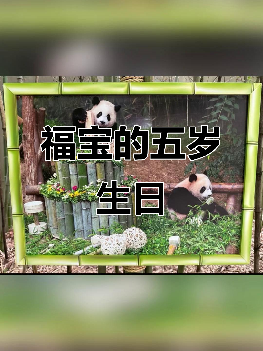 福宝的成长照片换背景,生日蛋糕纪念五岁时光