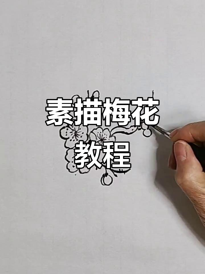 素描梅花技巧:从枝杈到花朵的完美呈现