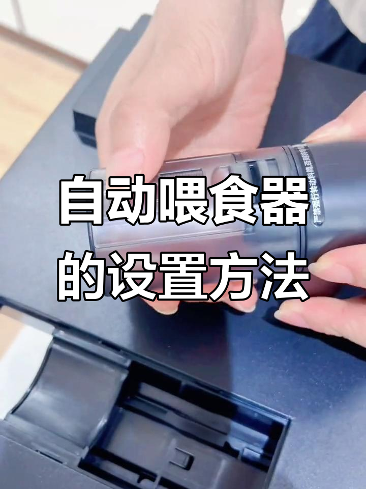 鱼缸自动喂食器使用指南,轻松设定喂食时间和量