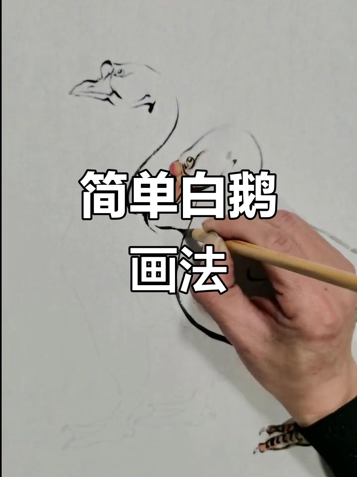 白鹅画法全攻略,轻松掌握技巧