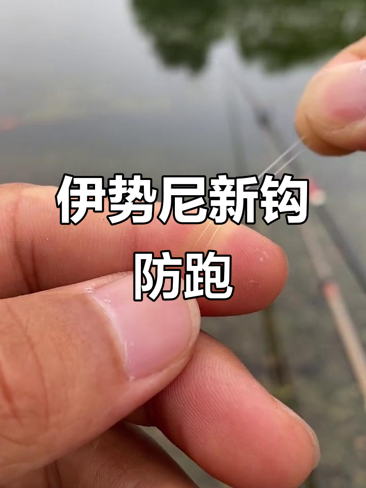 新型曲柄伊势尼鱼钩，刺鱼更牢固，钓大鱼不再怕跑