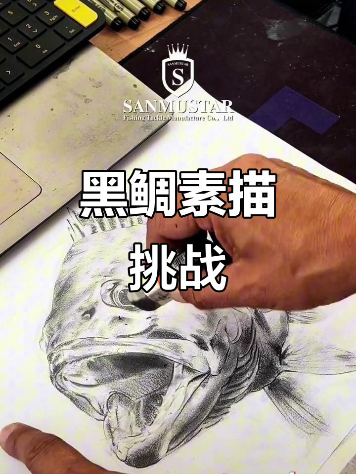 鬼手素描黑鲷,轻松画出栩栩如生的鱼形