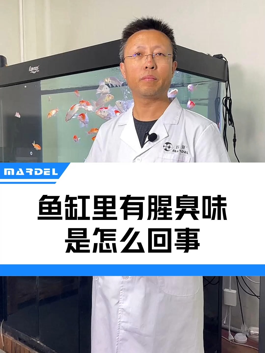 鱼缸里有腥臭味怎么回事?