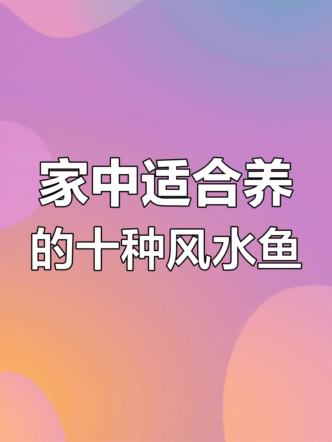 家庭养鱼风水推荐,提升运势的十大观赏鱼类